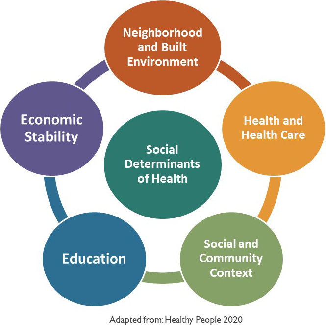 An image that lists all of the social determinants of health: Neighborhood and Build Environment, Health and Health Care, Social and Community Context, Education, and Economic stability